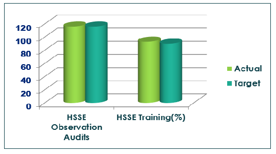 HSE2.jpg